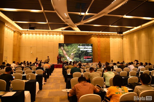 以見聞覓商機 2023“白鴿行動”華北站完美收官，廣告設計賦能品牌新視野